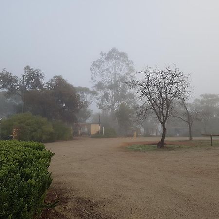 Pecan Hill Bnb Toodyay Экстерьер фото