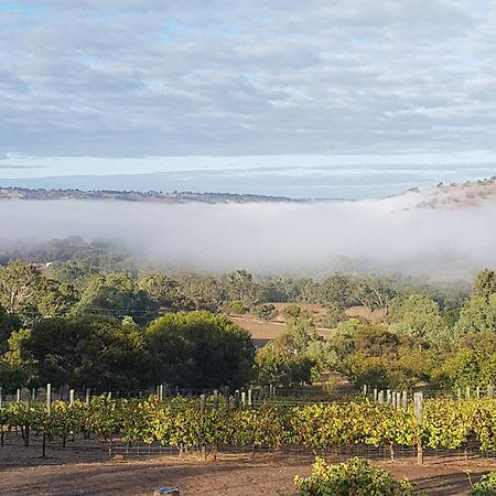 Pecan Hill Bnb Toodyay Экстерьер фото