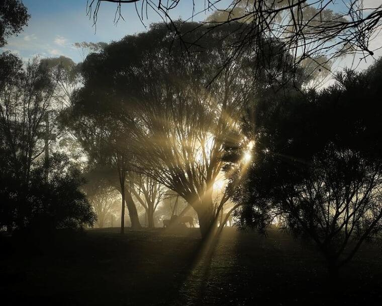 Pecan Hill Bnb Toodyay Экстерьер фото