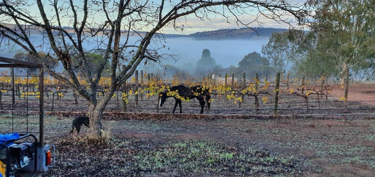 Pecan Hill Bnb Toodyay Экстерьер фото