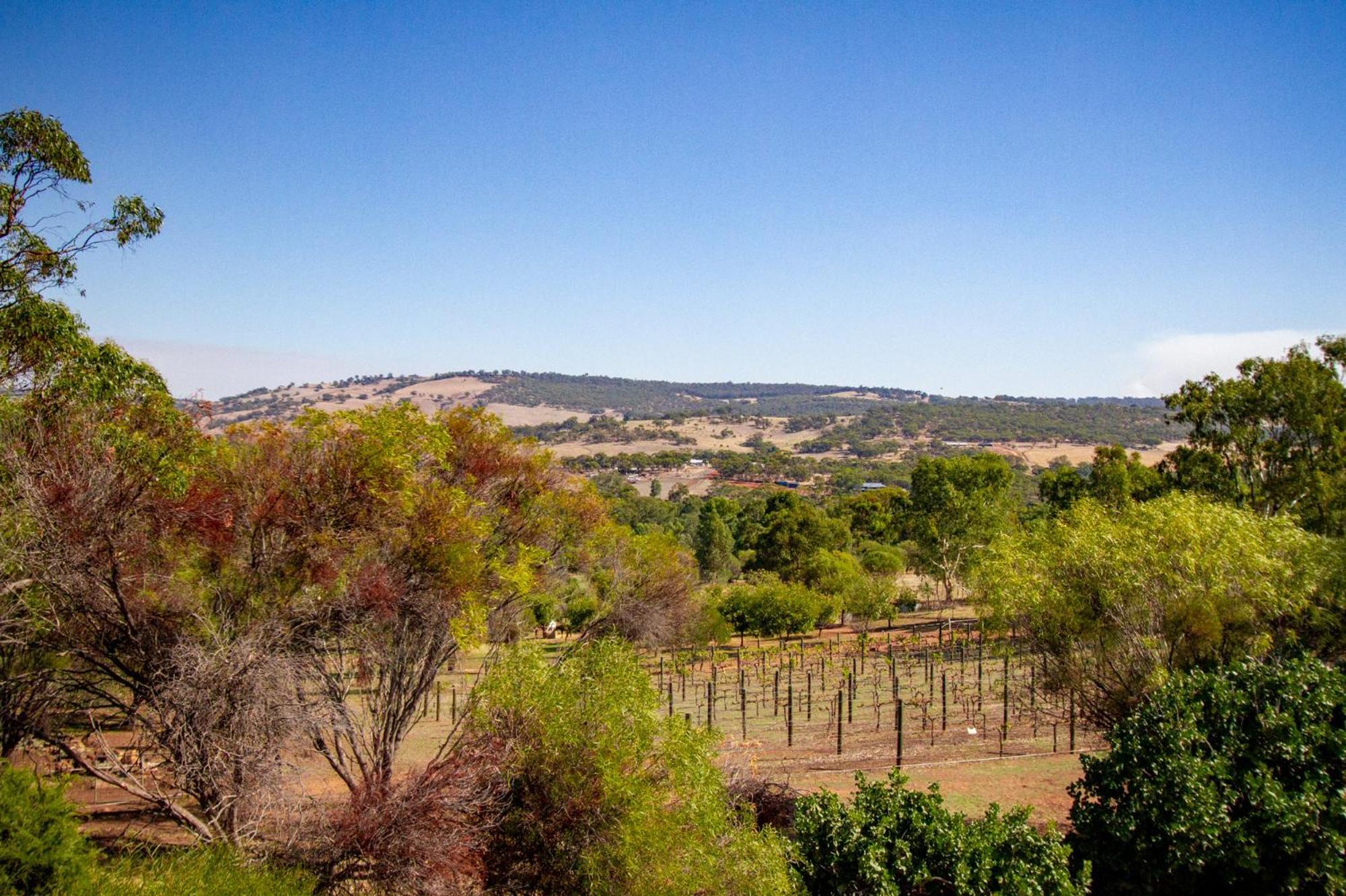 Pecan Hill Bnb Toodyay Экстерьер фото