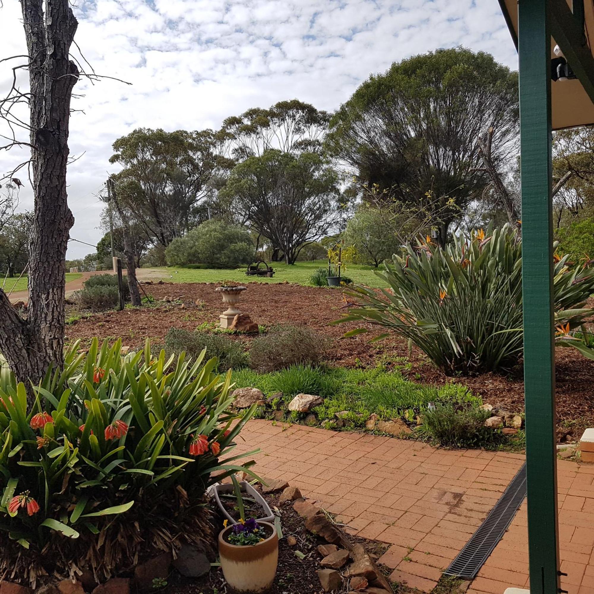 Pecan Hill Bnb Toodyay Экстерьер фото