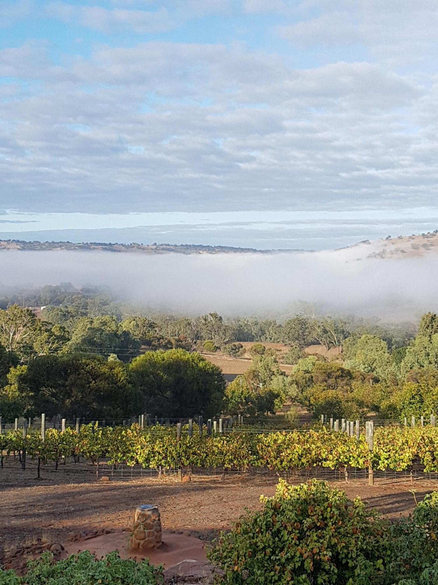Pecan Hill Bnb Toodyay Экстерьер фото